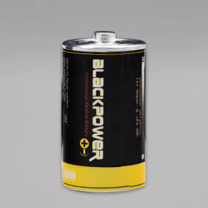 Mono Batterie Typ D, Attrappe Versteckdose