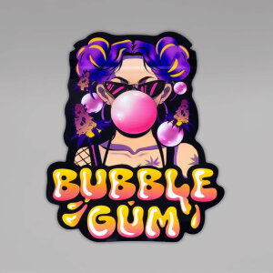 Mylar Bag, Bubble Gum
